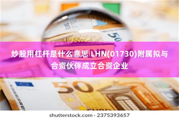 炒股用杠杆是什么意思 LHN(01730)附属拟与合资伙伴成立合资企业