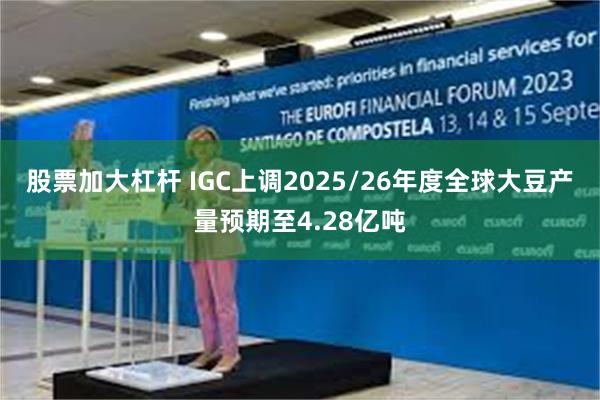 股票加大杠杆 IGC上调2025/26年度全球大豆产量预期至4.28亿吨
