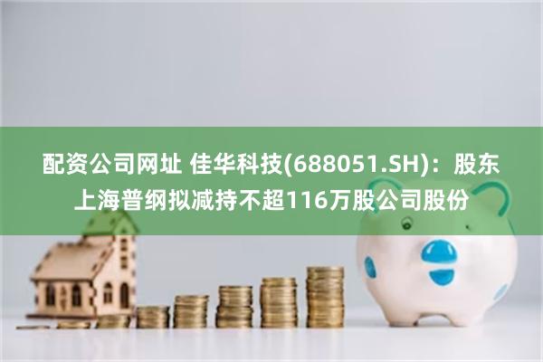 配资公司网址 佳华科技(688051.SH)：股东上海普纲拟减持不超116万股公司股份