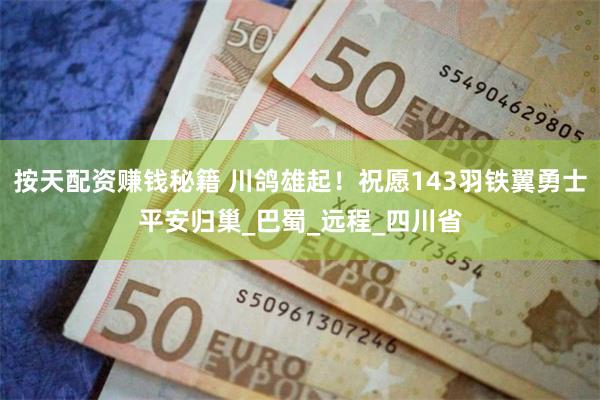 按天配资赚钱秘籍 川鸽雄起！祝愿143羽铁翼勇士平安归巢_巴蜀_远程_四川省