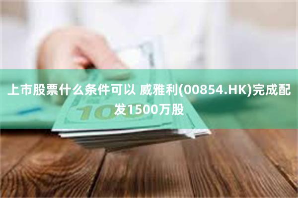 上市股票什么条件可以 威雅利(00854.HK)完成配发1500万股