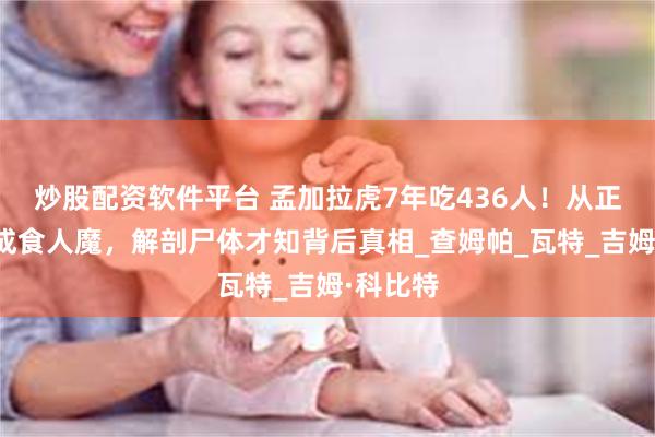 炒股配资软件平台 孟加拉虎7年吃436人！从正常虎变成食人魔，解剖尸体才知背后真相_查姆帕_瓦特_吉姆·科比特