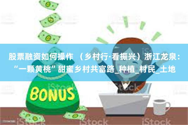 股票融资如何操作 （乡村行·看振兴）浙江龙泉：“一颗黄桃”甜蜜乡村共富路_种植_村民_土地