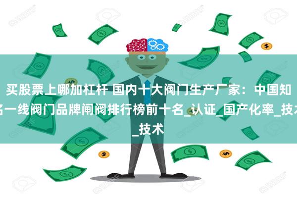 买股票上哪加杠杆 国内十大阀门生产厂家：中国知名一线阀门品牌闸阀排行榜前十名_认证_国产化率_技术