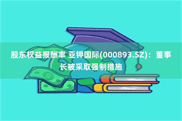 股东权益报酬率 亚钾国际(000893.SZ)：董事长被采取强制措施